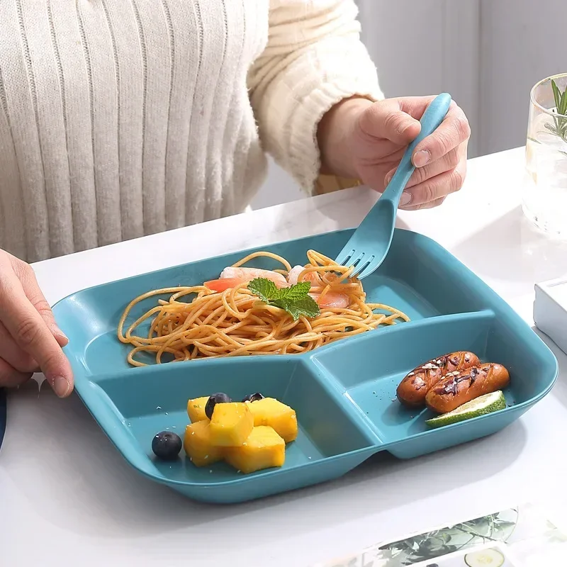 Food Storage Dividers - New Plate Dish Bariatric Portion Meal