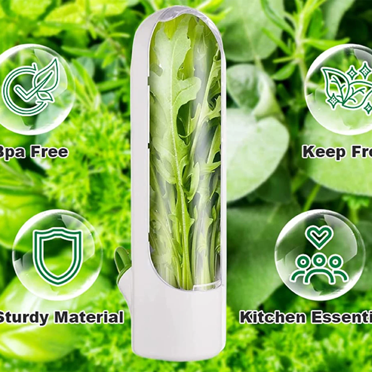 Herb Keeper Container - 1/2/3PCS Herb Saver Storage Container Fresh
