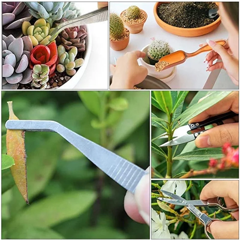 13Pcs Garden Planter Kit DIY S - огляд і ціна Food Storage With Scoop