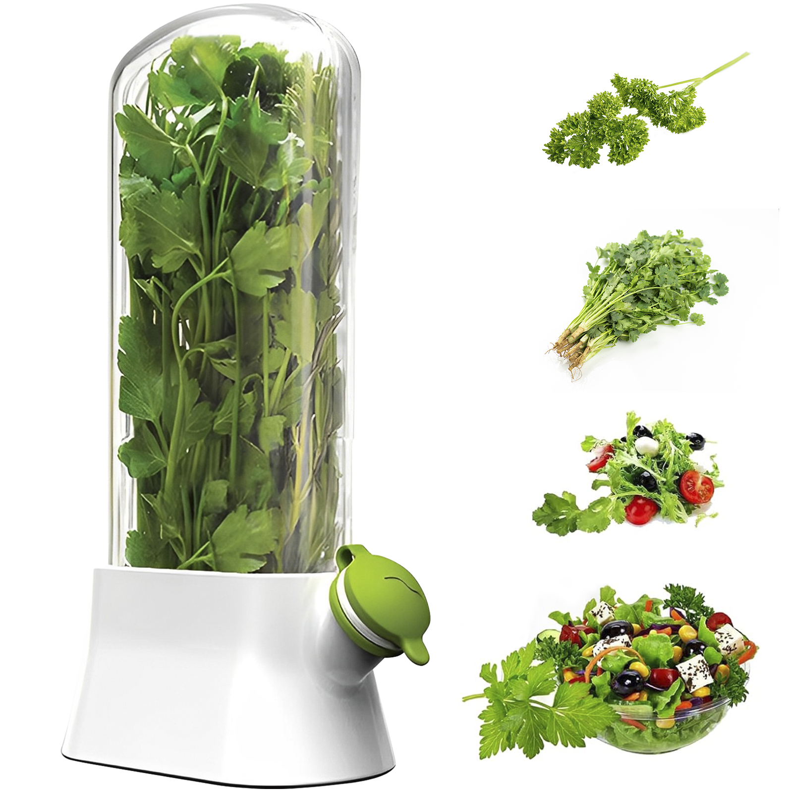 4/1PC Herb Freshkeeping Box Fr - огляд і ціна Herb Keeper Container