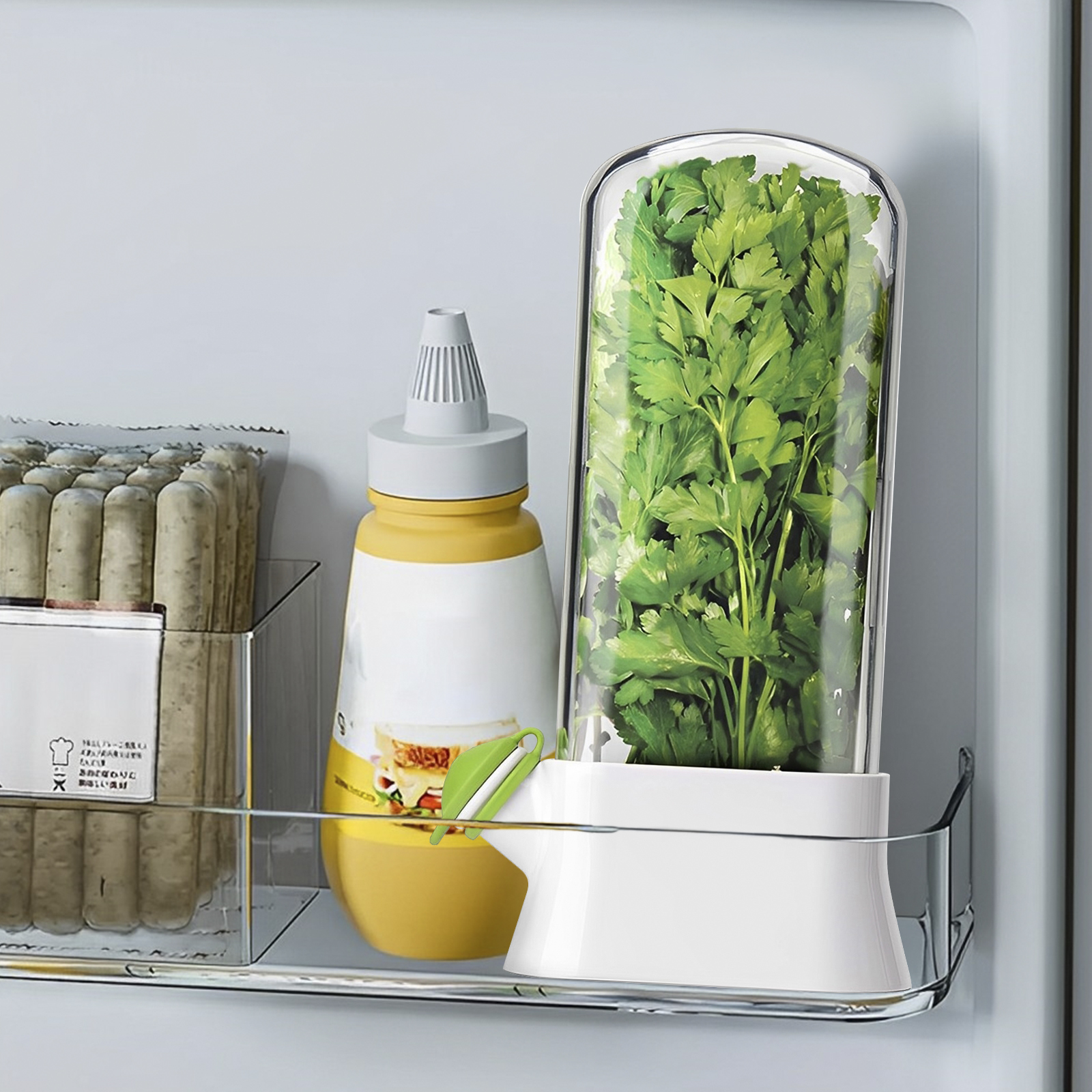 4/1PC Herb Freshkeeping Box Fr - огляд і ціна Herb Keeper Container
