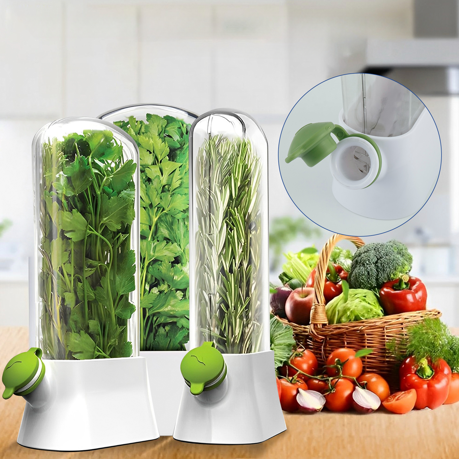 4/1PC Herb Freshkeeping Box Fr - огляд і ціна Herb Keeper Container