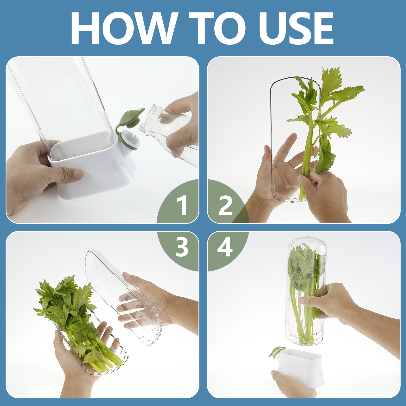 4/1PC Herb Freshkeeping Box Fr - огляд і ціна Herb Keeper Container