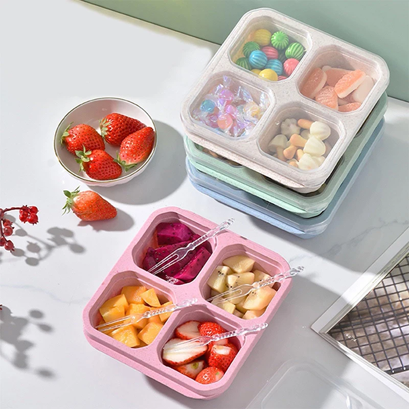 4 Grids Food Storage Box Porta - огляд і ціна Food Storage Box Plastic