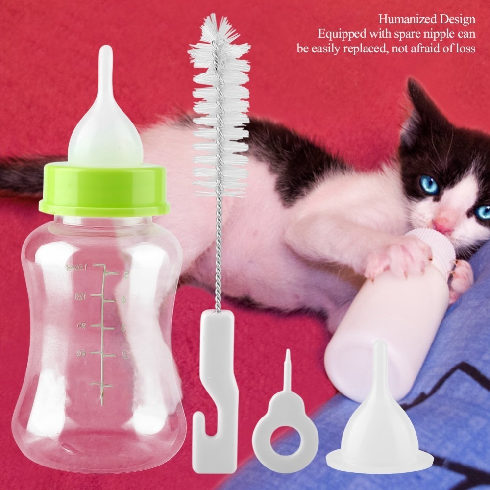 4pcs/ Set 150ml Capacity Pet F - огляд і ціна Storage Tips For Food